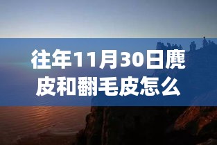 探索自然美景之旅，麂皮与翻毛皮的奇妙冒险