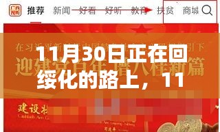 11月30日回绥化路上的体验分享，深度解析产品特性与使用感受