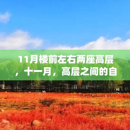 十一月高层间的自然之窗，寻找内心平静的旅行