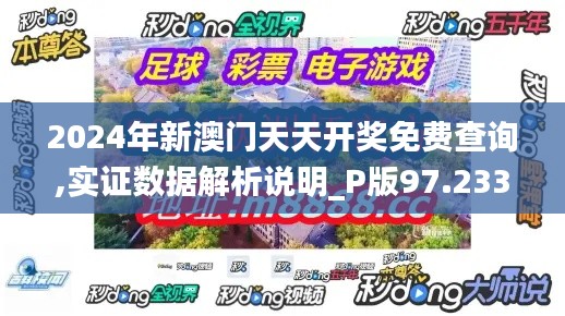 2024年新澳门天天开奖免费查询,实证数据解析说明_P版97.233