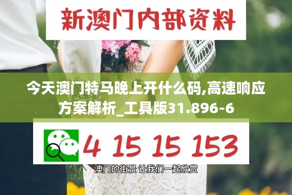 今天澳门特马晚上开什么码,高速响应方案解析_工具版31.896-6