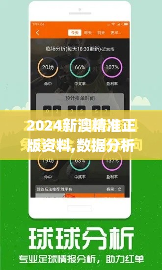 2024新澳精准正版资料,数据分析说明_免费版132.362-9