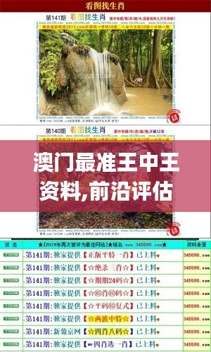 澳门最准王中王资料,前沿评估说明_黄金版49.569-1