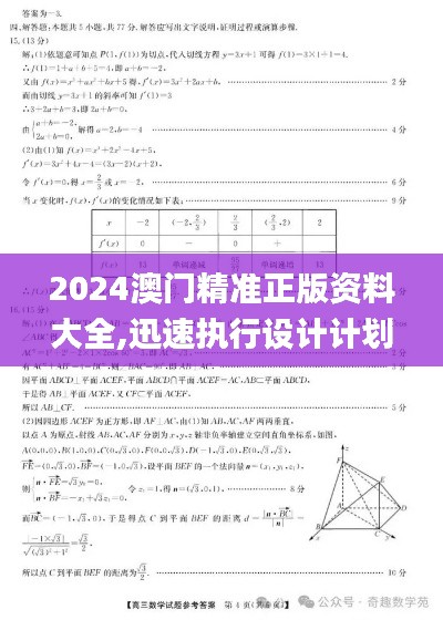 2024澳门精准正版资料大全,迅速执行设计计划_LT46.584-4