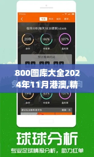 800图库大全2024年11月港澳,精准分析实施_2DM29.611-8