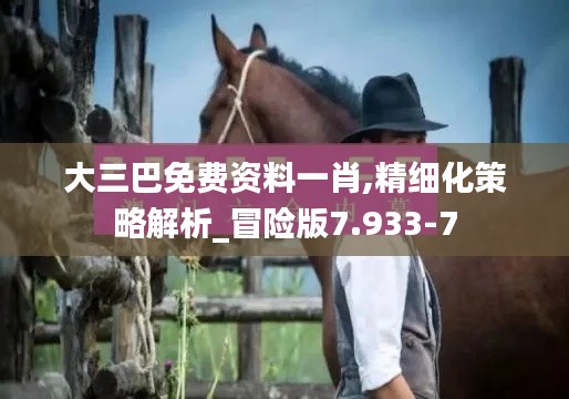 大三巴免费资料一肖,精细化策略解析_冒险版7.933-7