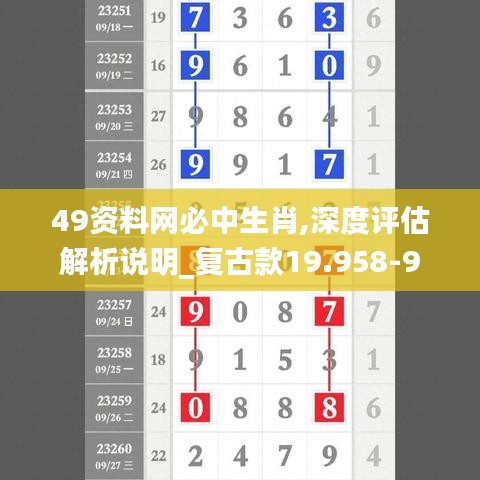 49资料网必中生肖,深度评估解析说明_复古款19.958-9