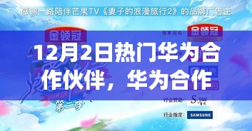 华为合作伙伴探索之旅，热门合作伙伴的详细步骤指南（适合初学者与进阶用户）