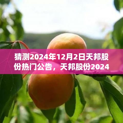 联系我们 第155页