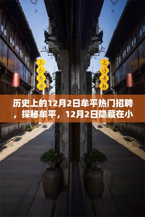 牟平秘密，小巷中的热门招聘与特色小店探寻（12月2日）