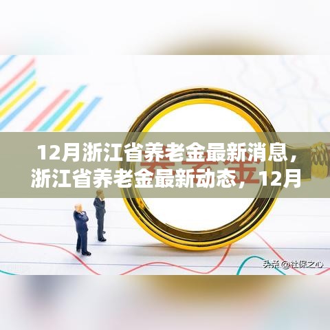 浙江省养老金最新动态揭晓，背景、影响与时代地位深度解读（12月版）