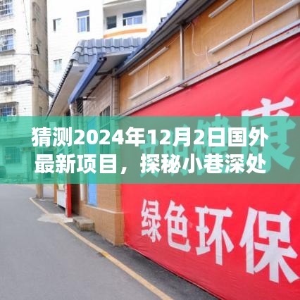 探秘未来风尚，揭秘国外隐藏版特色小店，预测2024年12月2日小巷深处的创新项目