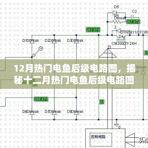 揭秘电鱼后级电路图，犯罪行为的科技手段探讨与解析