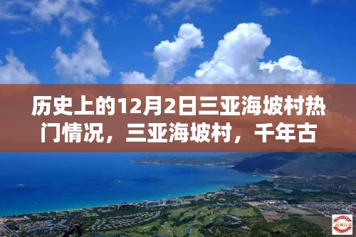 三亚海坡村，千年古韵与十二月繁华的印记