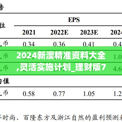 2024新澳精准资料大全,灵活实施计划_理财版78.858-6