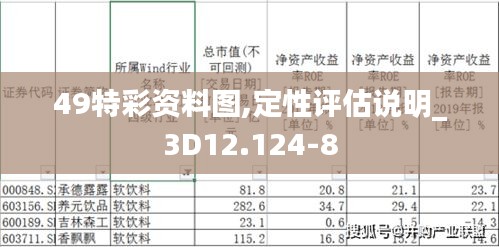 49特彩资料图,定性评估说明_3D12.124-8