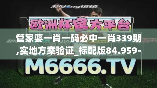 管家婆一肖一码必中一肖339期,实地方案验证_标配版84.959-8