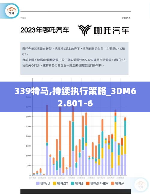 339特马,持续执行策略_3DM62.801-6