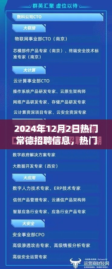 聚焦常德职场动态，热门招聘信息解析（2024年12月2日）