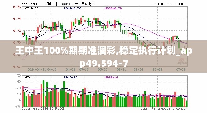 王中王100℅期期准澳彩,稳定执行计划_app49.594-7