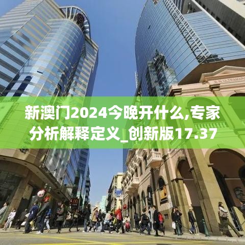 新澳门2024今晚开什么,专家分析解释定义_创新版17.379-4