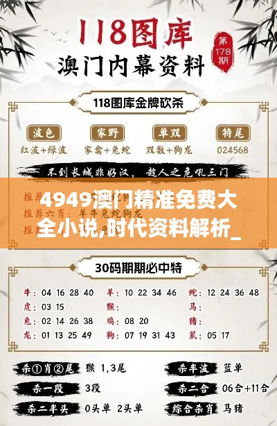 4949澳门精准免费大全小说,时代资料解析_V56.803-8