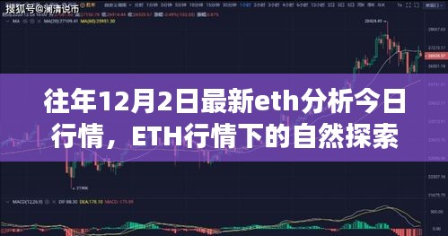 ETH行情下的自然探索之旅，寻找内心的宁静与自然的魔法——最新以太坊行情分析