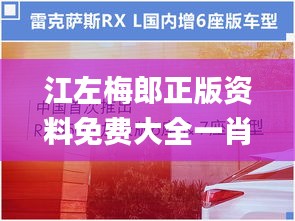 江左梅郎正版资料免费大全一肖,高效设计实施策略_RX版10.945-3