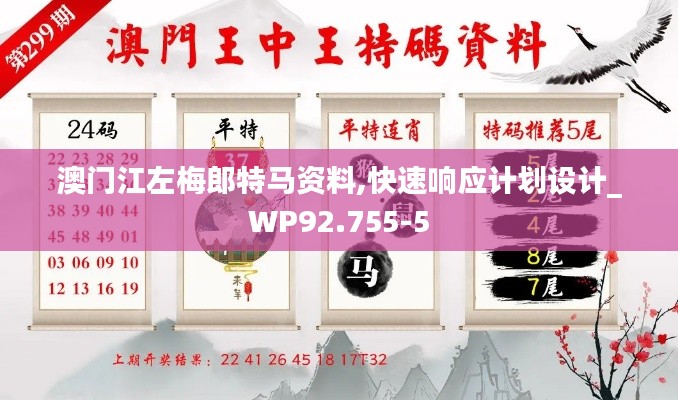 澳门江左梅郎特马资料,快速响应计划设计_WP92.755-5