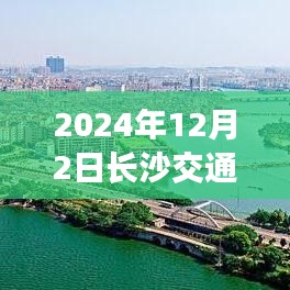 深度解读，长沙交通事故最新热点与应对措施，专家剖析事故原因