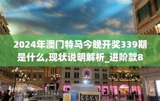 2024年澳门特马今晚开奖339期是什么,现状说明解析_进阶款85.274-8