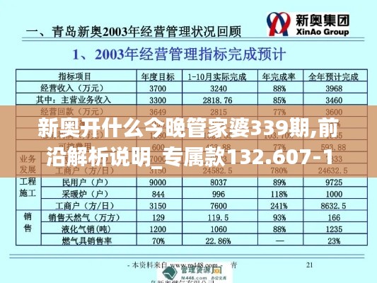 新奥开什么今晚管家婆339期,前沿解析说明_专属款132.607-1