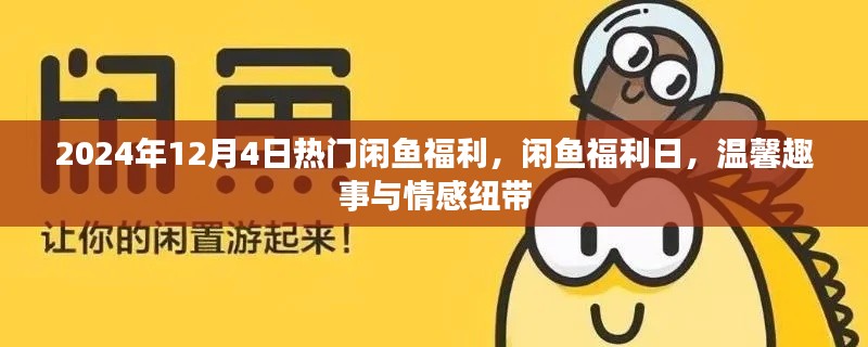 闲鱼福利日，情感纽带与温馨趣事的集结（2024年12月4日）