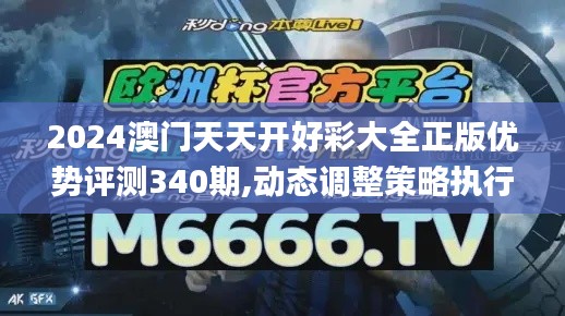 2024澳门天天开好彩大全正版优势评测340期,动态调整策略执行_FT2.659-6