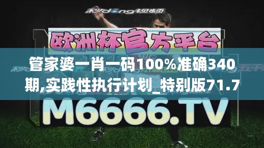 管家婆一肖一码100%准确340期,实践性执行计划_特别版71.795-4