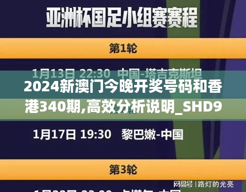 2024新澳门今晚开奖号码和香港340期,高效分析说明_SHD91.738-2