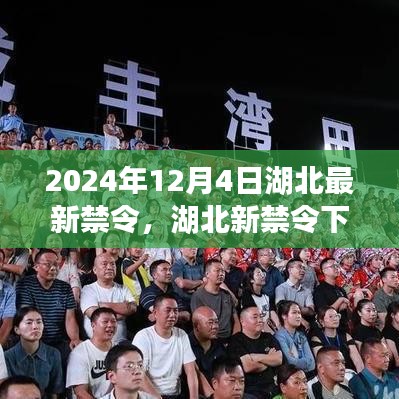 湖北新禁令下的温馨日常，友情、家庭与陪伴的故事在2024年12月4日显现新篇章