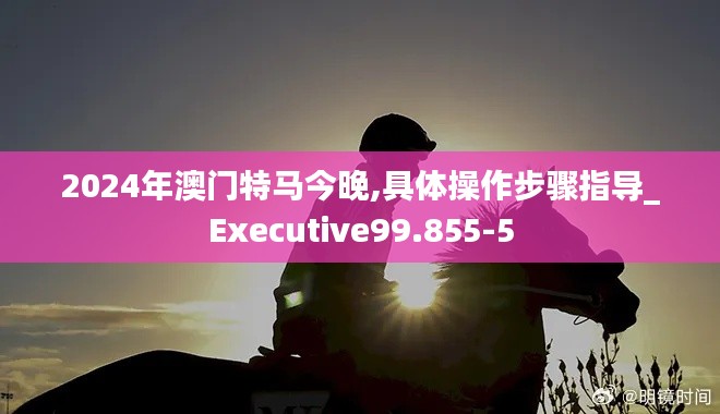 2024年澳门特马今晚,具体操作步骤指导_Executive99.855-5