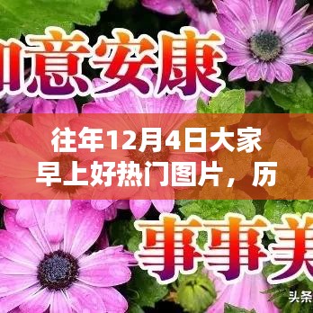 历年12月4日热门图片回顾与赏析，温馨早晨的流行瞬间