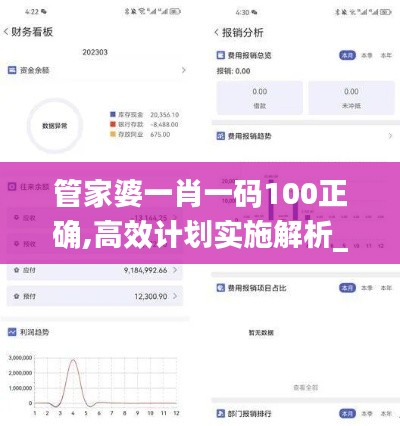 管家婆一肖一码100正确,高效计划实施解析_创新版4.444