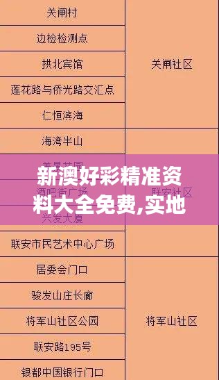 新澳好彩精准资料大全免费,实地评估策略_钻石版174.807