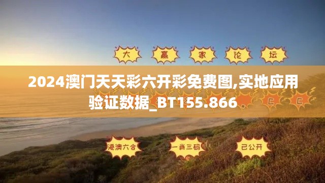 2024澳门天天彩六开彩免费图,实地应用验证数据_BT155.866