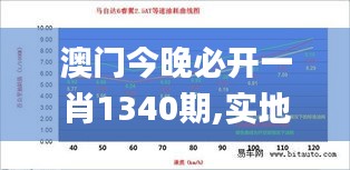 澳门今晚必开一肖1340期,实地数据验证策略_Premium63.887-5