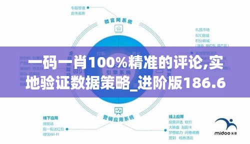 一码一肖100%精准的评论,实地验证数据策略_进阶版186.610