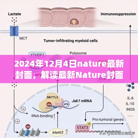 解读最新Nature封面，展望2024年科学未来与挑战的思考