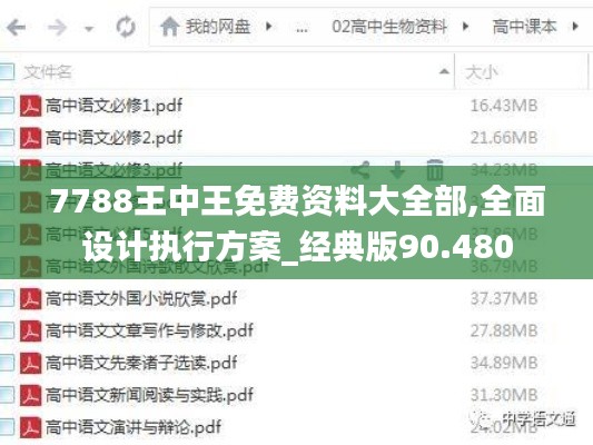 7788王中王免费资料大全部,全面设计执行方案_经典版90.480