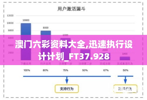 澳门六彩资料大全,迅速执行设计计划_FT37.928