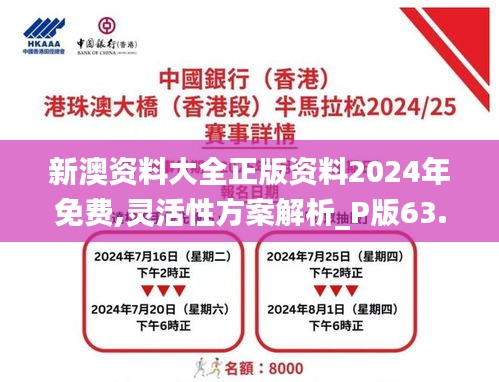 新澳资料大全正版资料2024年免费,灵活性方案解析_P版63.246