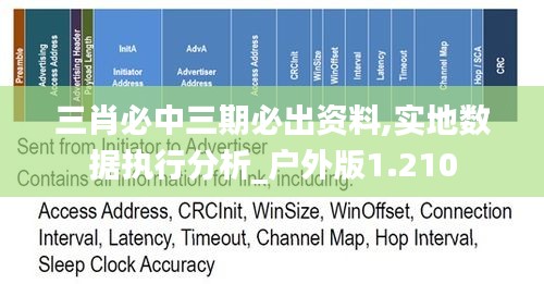 三肖必中三期必出资料,实地数据执行分析_户外版1.210