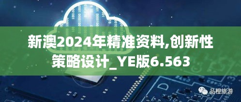 新澳2024年精准资料,创新性策略设计_YE版6.563